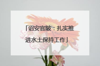 诏安官陂：扎实推进水土保持工作
