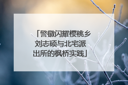 警徽闪耀樱桃乡 刘志硕与北宅派出所的枫桥实践
