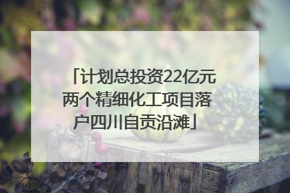 计划总投资22亿元 两个精细化工项目落户四川自贡沿滩