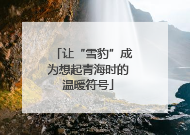 让“雪豹”成为想起青海时的温暖符号