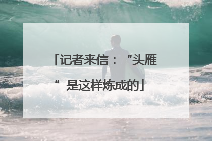 记者来信：“头雁”是这样炼成的