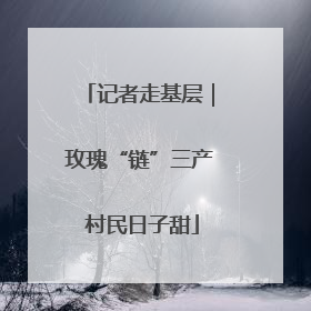 记者走基层｜玫瑰“链”三产 村民日子甜