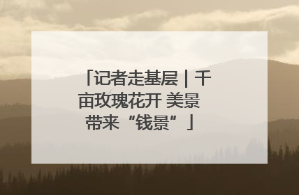记者走基层｜千亩玫瑰花开 美景带来“钱景”