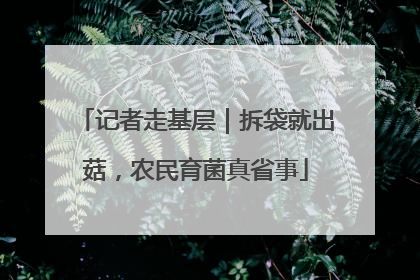 记者走基层｜拆袋就出菇，农民育菌真省事