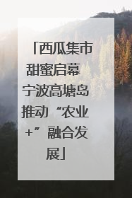 西瓜集市甜蜜启幕 宁波高塘岛推动“农业+”融合发展