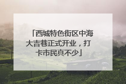 西城特色街区中海大吉巷正式开业，打卡市民真不少