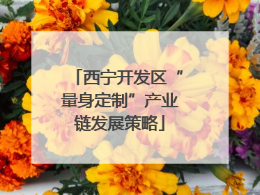 西宁开发区“量身定制”产业链发展策略