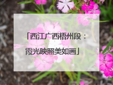 西江广西梧州段：霞光映照美如画