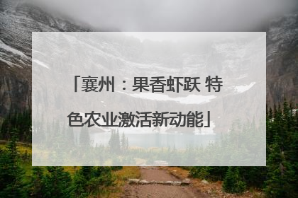 襄州：果香虾跃 特色农业激活新动能