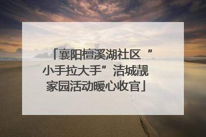 襄阳檀溪湖社区“小手拉大手”洁城靓家园活动暖心收官