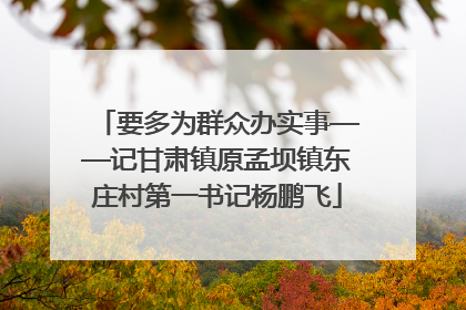 要多为群众办实事——记甘肃镇原孟坝镇东庄村第一书记杨鹏飞