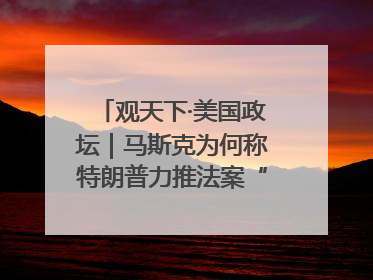 观天下·美国政坛｜马斯克为何称特朗普力推法案“令人作呕”