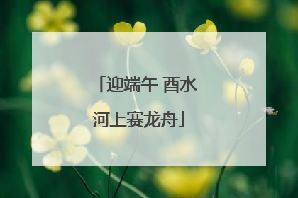 迎端午 酉水河上赛龙舟