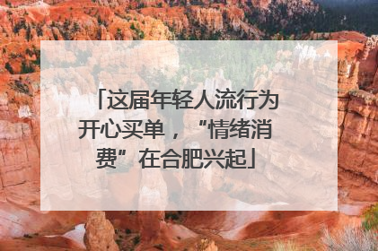 这届年轻人流行为开心买单，“情绪消费”在合肥兴起