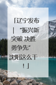辽宁发布｜“振兴新突破 决胜勇争先” 沈阳这么干！
