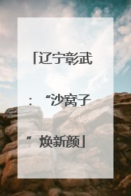 辽宁彰武：“沙窝子”焕新颜