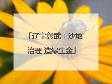 辽宁彰武：沙地治理 造绿生金