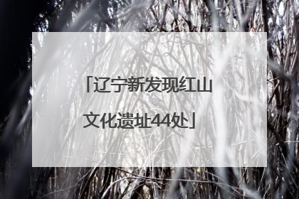辽宁新发现红山文化遗址44处