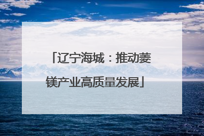 辽宁海城：推动菱镁产业高质量发展