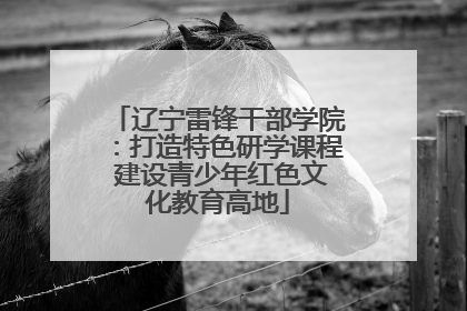 辽宁雷锋干部学院：打造特色研学课程 建设青少年红色文化教育高地