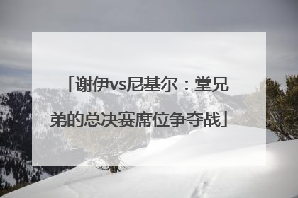 谢伊vs尼基尔：堂兄弟的总决赛席位争夺战