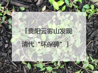贵阳云雾山发现清代“环保碑”