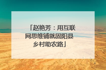赵艳芳：用互联网思维铺就固阳县乡村助农路