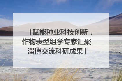 赋能种业科技创新，作物表型组学专家汇聚淄博交流科研成果