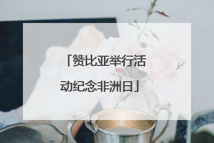 赞比亚举行活动纪念非洲日