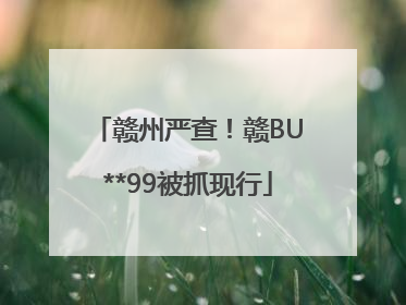 赣州严查！赣BU**99被抓现行
