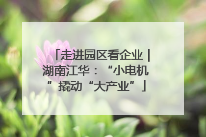 走进园区看企业｜湖南江华：“小电机”撬动“大产业”