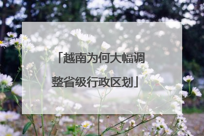 越南为何大幅调整省级行政区划