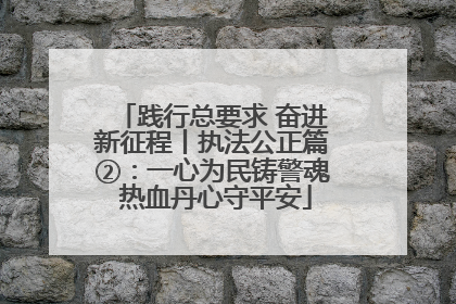 践行总要求 奋进新征程丨执法公正篇②：一心为民铸警魂 热血丹心守平安