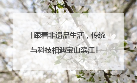 跟着非遗品生活，传统与科技相遇宝山滨江