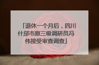 退休一个月后，四川什邡市原三级调研员冯伟接受审查调查