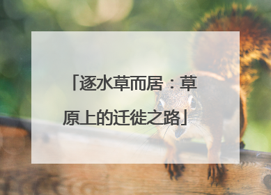 逐水草而居：草原上的迁徙之路