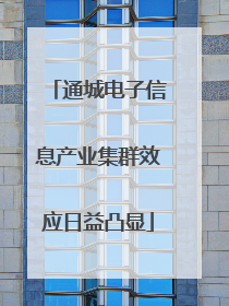 通城电子信息产业集群效应日益凸显