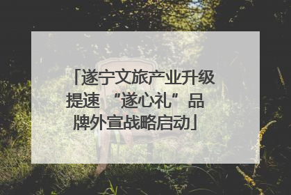遂宁文旅产业升级提速 “遂心礼”品牌外宣战略启动