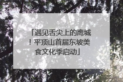遇见舌尖上的鹰城！平顶山首届东坡美食文化季启动