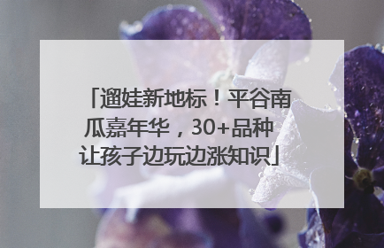 遛娃新地标！平谷南瓜嘉年华，30+品种让孩子边玩边涨知识