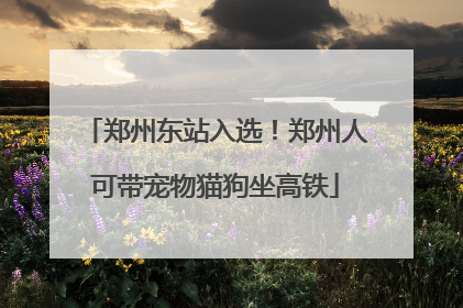 郑州东站入选！郑州人可带宠物猫狗坐高铁