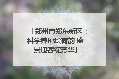 郑州市郑东新区：科学养护绘荷韵 盛景迎客绽芳华
