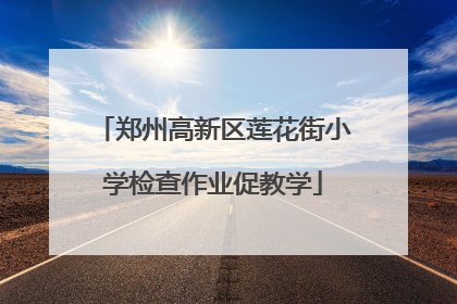 郑州高新区莲花街小学检查作业促教学