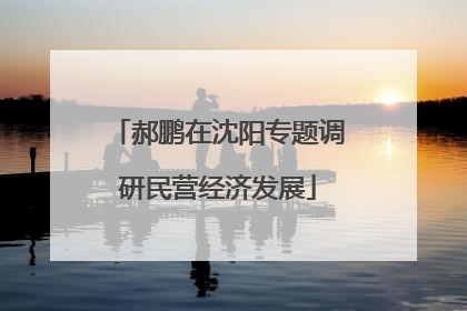 郝鹏在沈阳专题调研民营经济发展