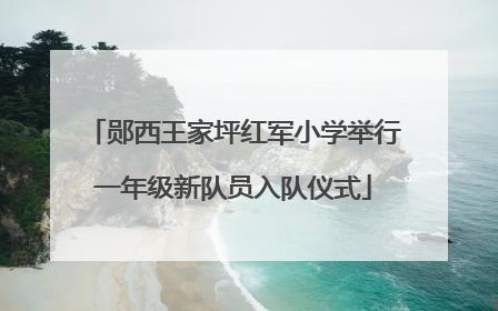 郧西王家坪红军小学举行一年级新队员入队仪式