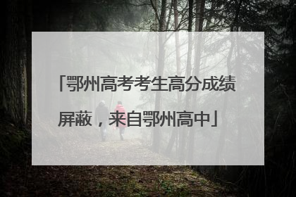 鄂州高考考生高分成绩屏蔽，来自鄂州高中