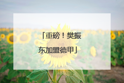 重磅！樊振东加盟德甲