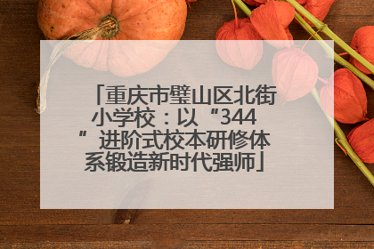 重庆市璧山区北街小学校：以“344”进阶式校本研修体系锻造新时代强师