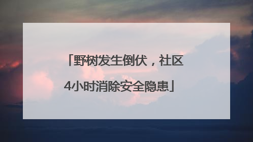 野树发生倒伏，社区4小时消除安全隐患