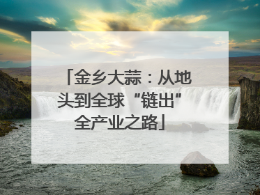 金乡大蒜：从地头到全球“链出”全产业之路